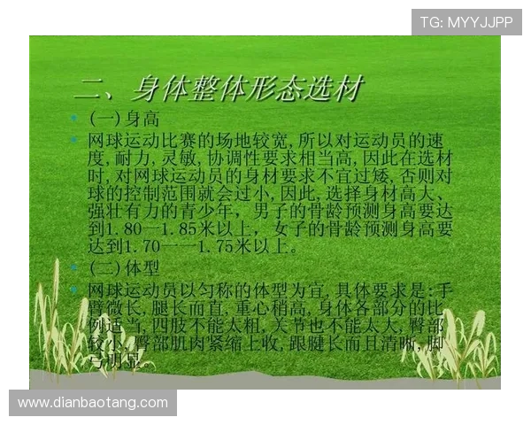 西安网球队与上海网球队耐力较量赛后分析与反思 西安网球队与上海网球队耐力较量赛后分析与反思